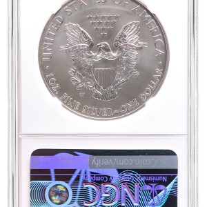 2013-W Burnished Silver Eagle NGC MS70
