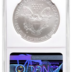 2007-W Burnished Silver Eagle NGC MS70